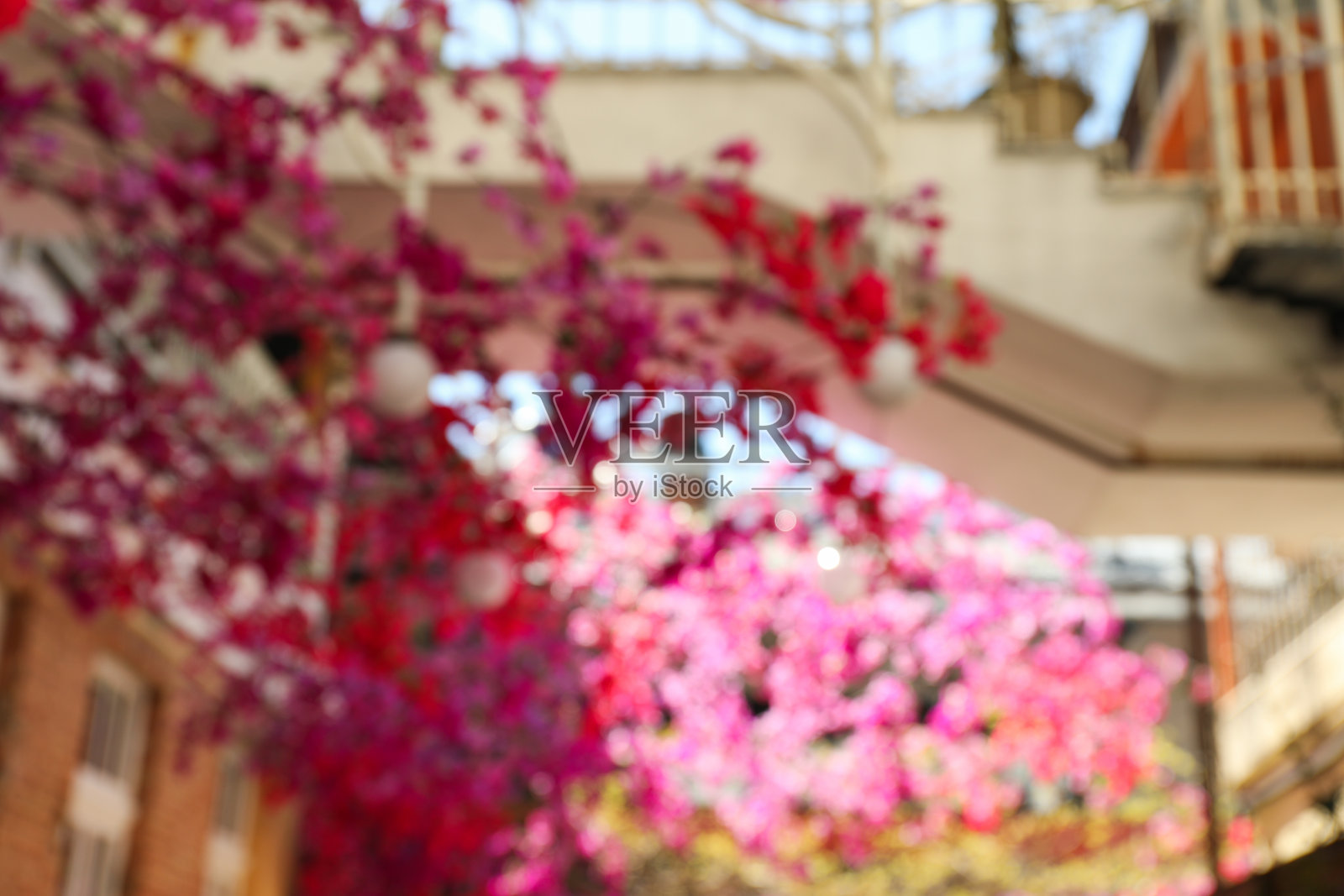 户外咖啡馆里的花丛和花灯,迷离照片摄影图片