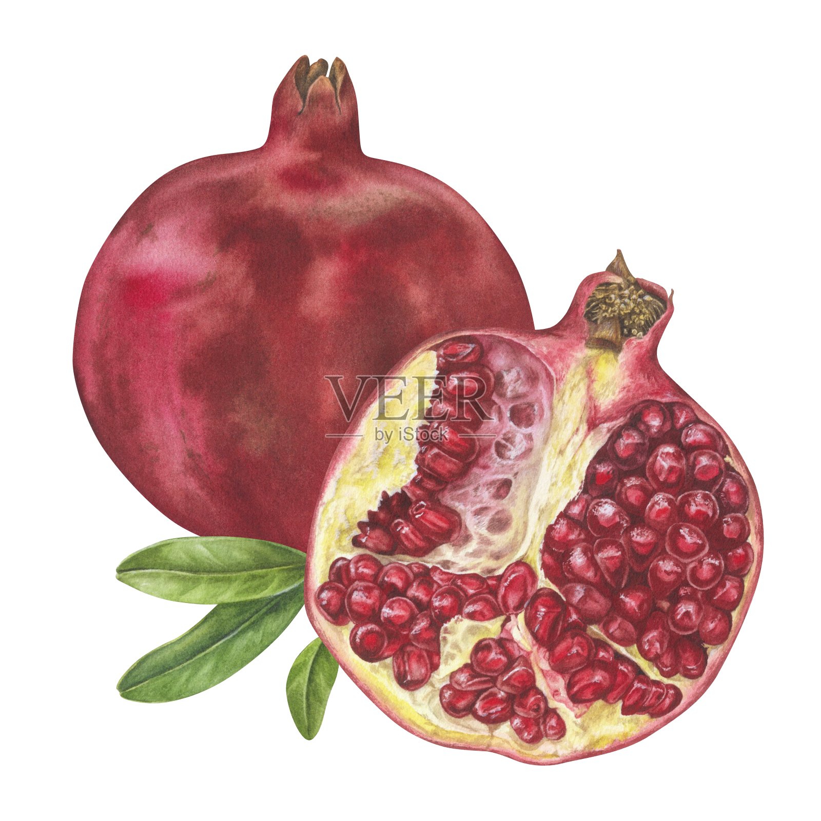 石榴叶。水彩植物插图的整个和半红色水果。在孤立的白色背景上手绘剪贴画。为印刷品和果汁包装绘制成熟的甜食插画图片素材