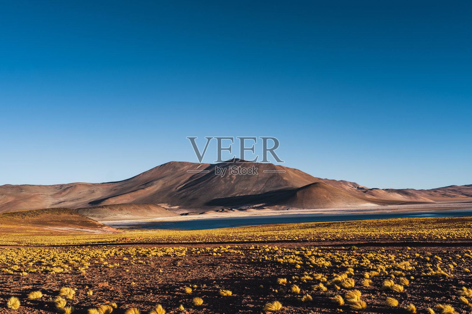 阿塔卡马沙漠的高原泻湖照片摄影图片