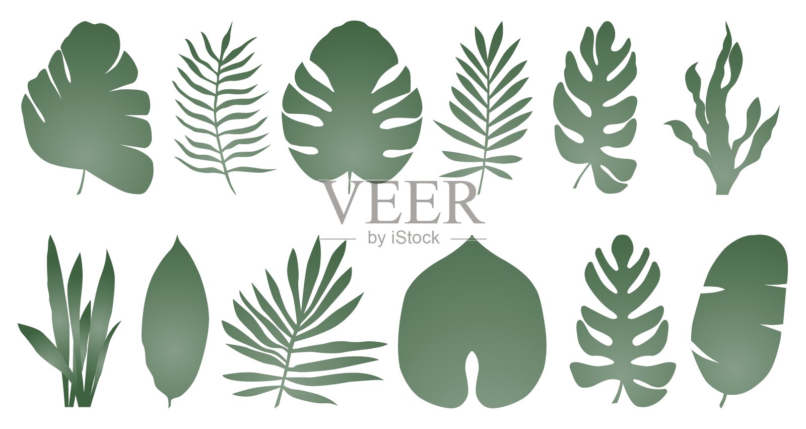 在梯度上不同类型的一组异国情调的热带叶子。矢量插图隔离在白色背景上。插画图片素材