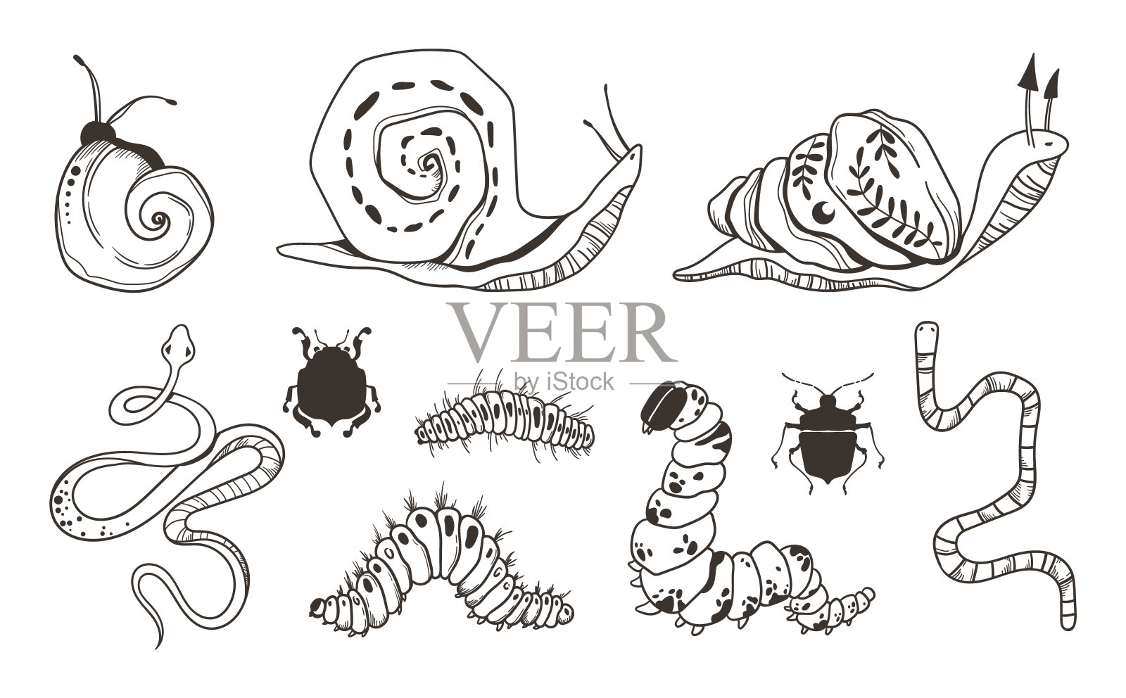 神秘的天蛾和蝴蝶剪贴包,神奇的黑色和白色的昆虫轮廓在矢量,虚幻的手绘夜蛾,孤立的元素包插画图片素材