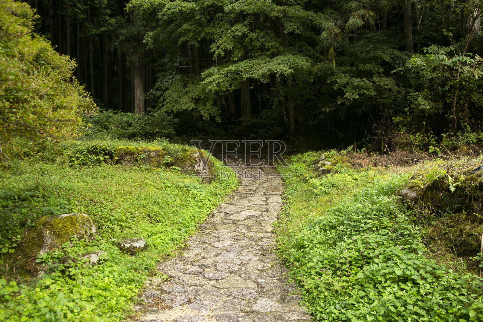 走在日本木索谷津ago和Magome之间的中增道小径上的鹅卵石路上。照片摄影图片