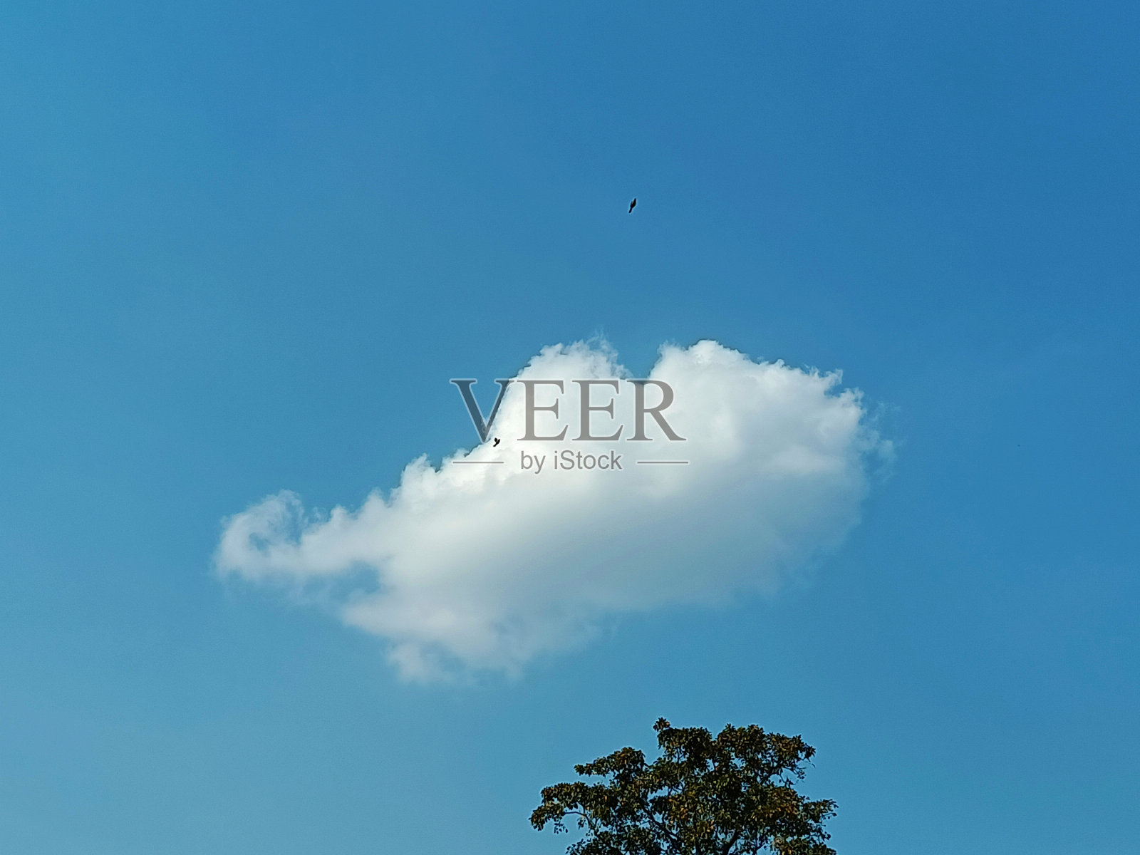 云照片摄影图片