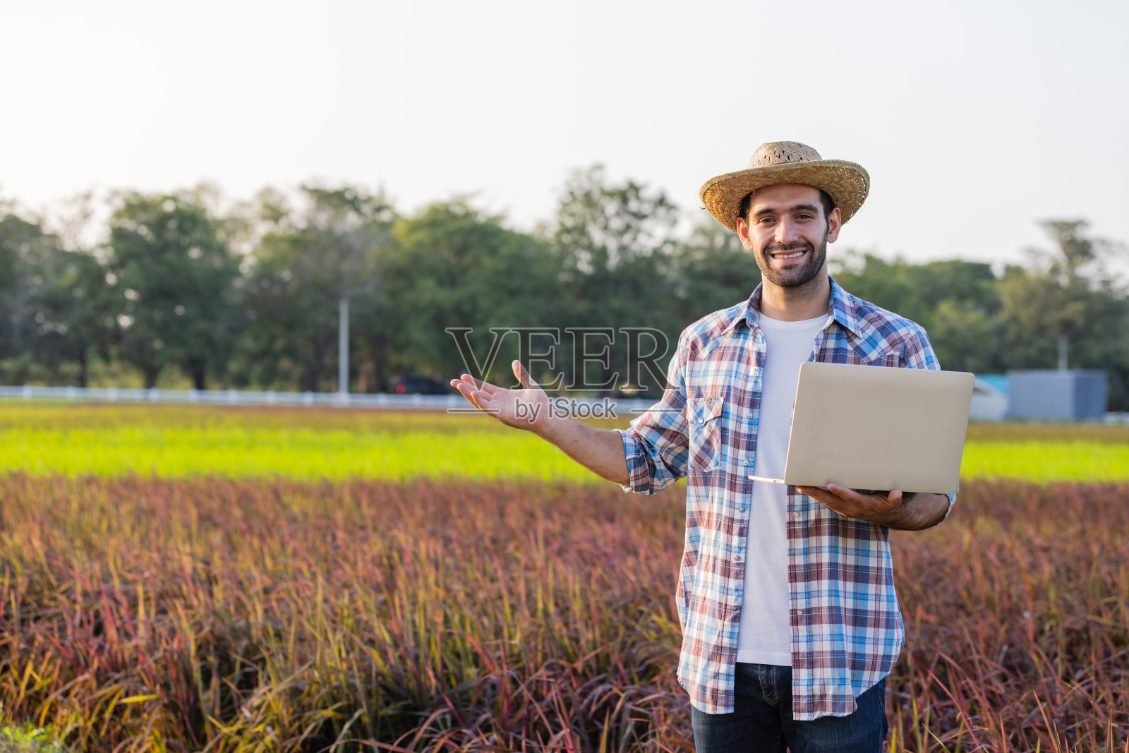 农民在他们的土地上种植作物时使用电脑收集和分析数据照片摄影图片