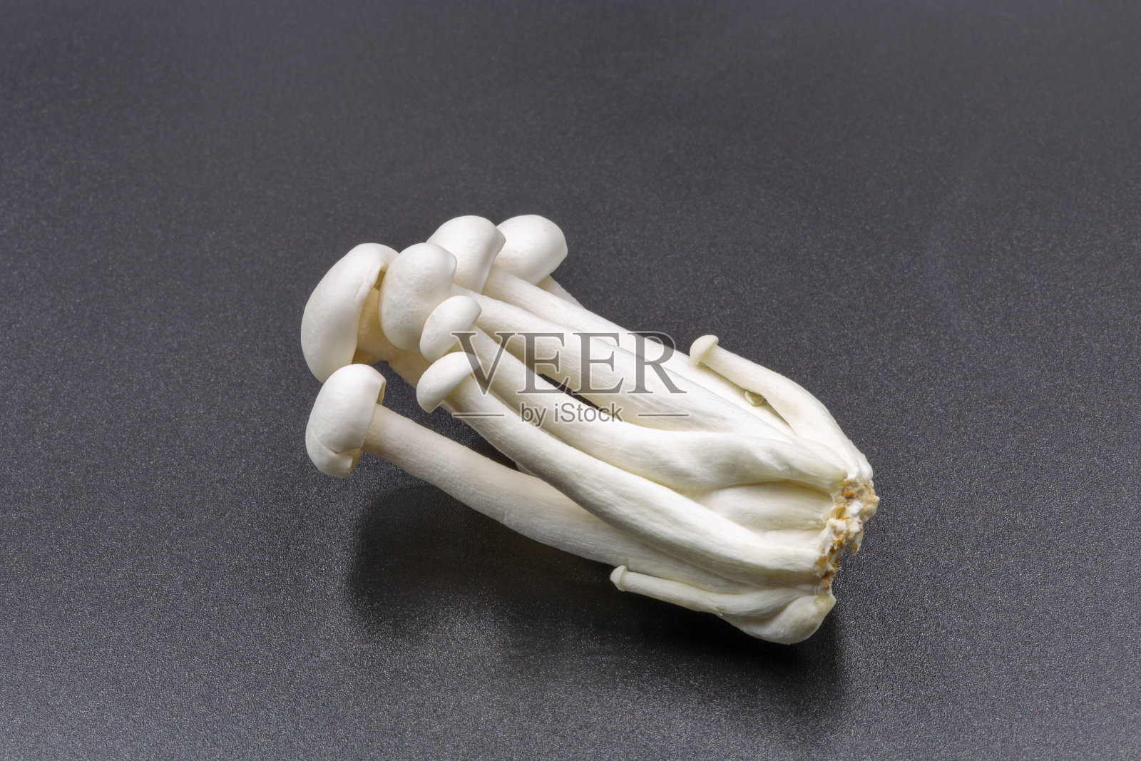 黑色背景下的中国银木菇特写照片摄影图片