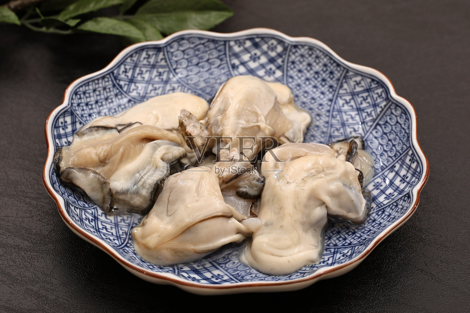 盘子里没有壳的生牡蛎照片摄影图片