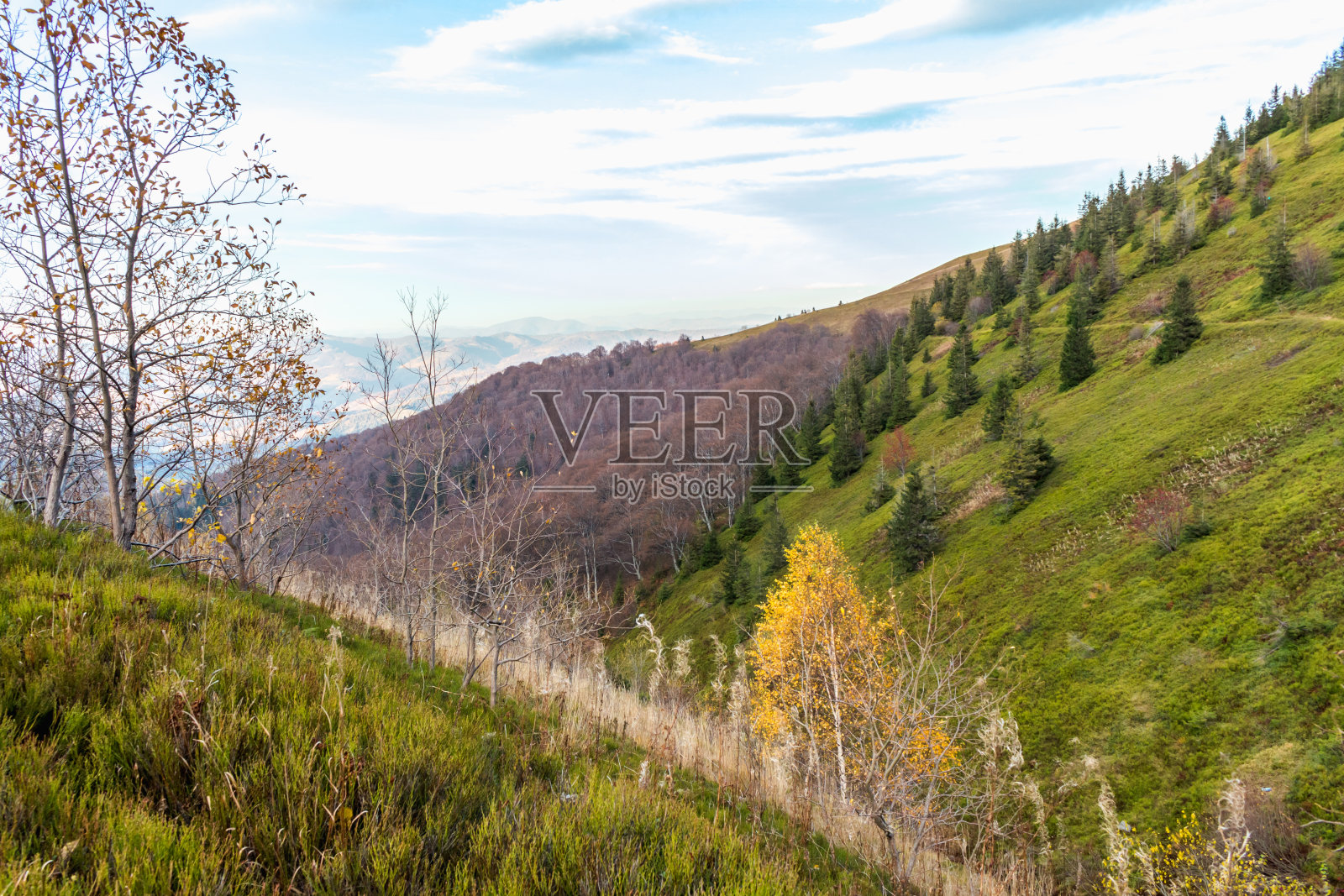 秋天在乌克兰喀尔巴阡山脉,博尔扎瓦草地上的风景照片摄影图片