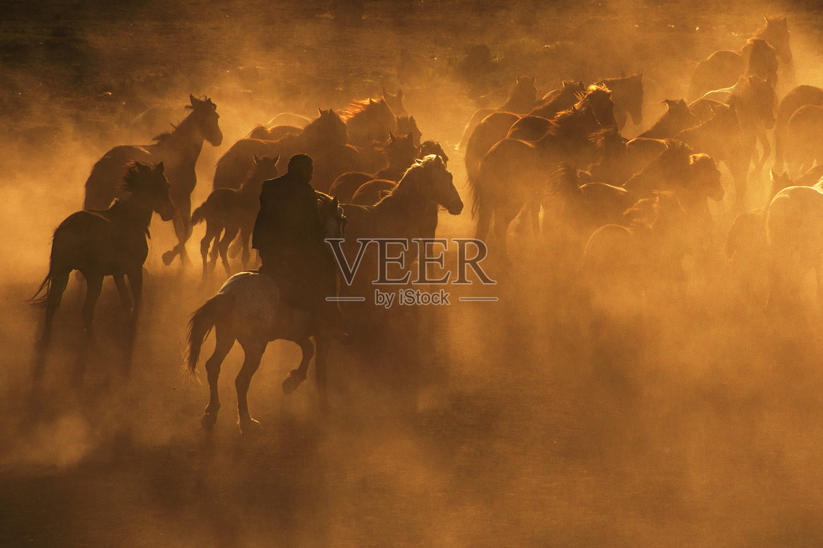 Cowboy.2照片摄影图片