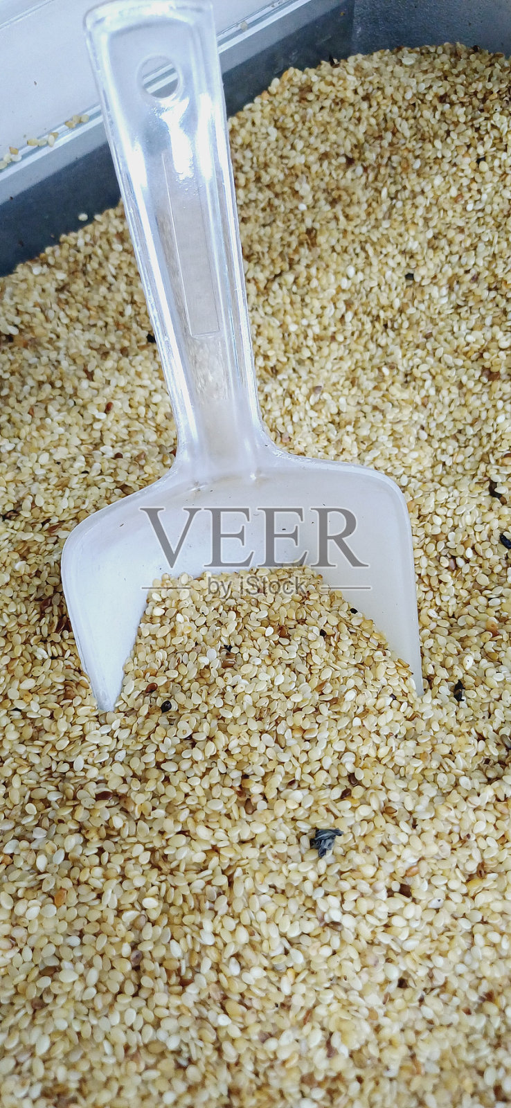 芝麻照片摄影图片