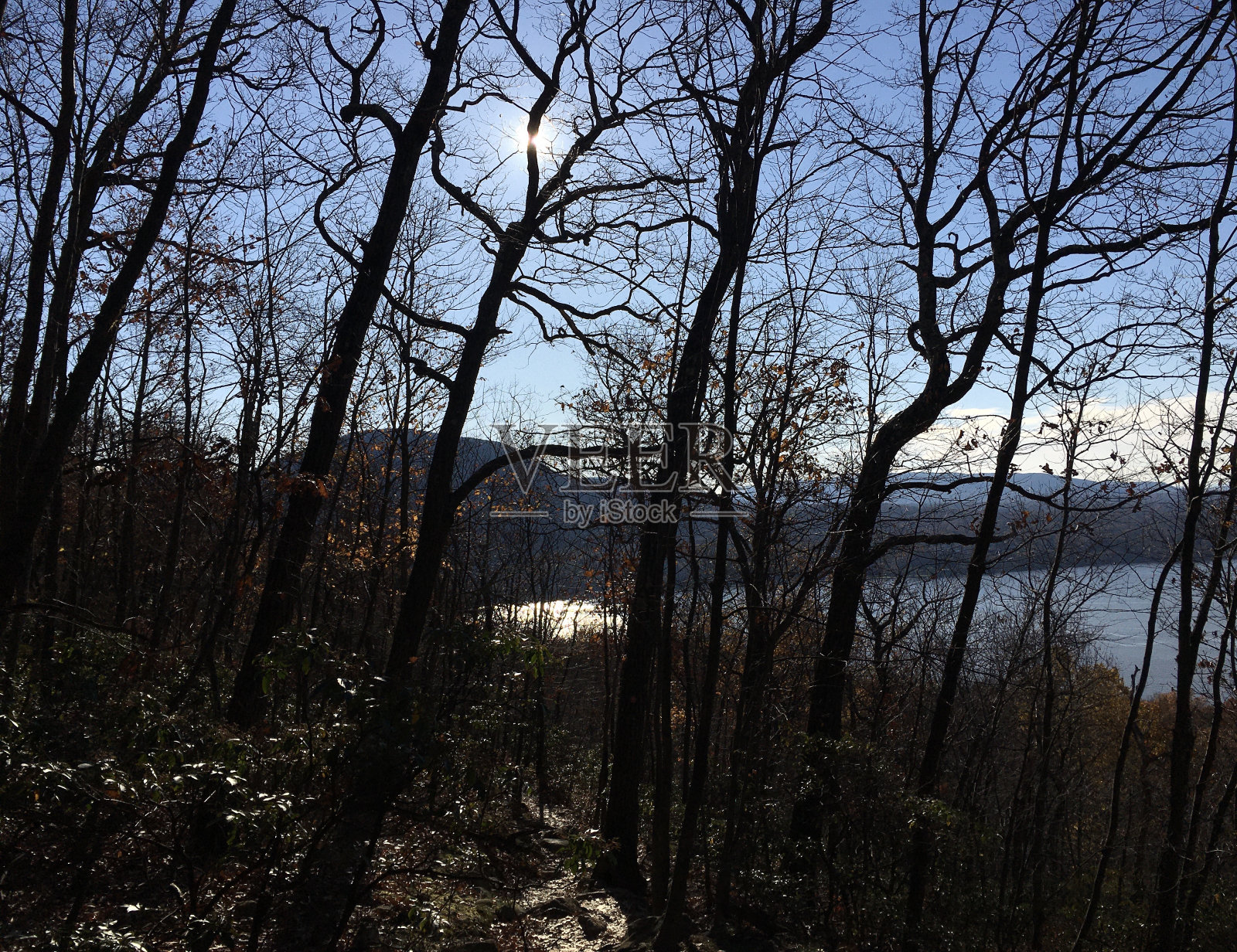 11月在纽约州哈德逊高地。照片摄影图片