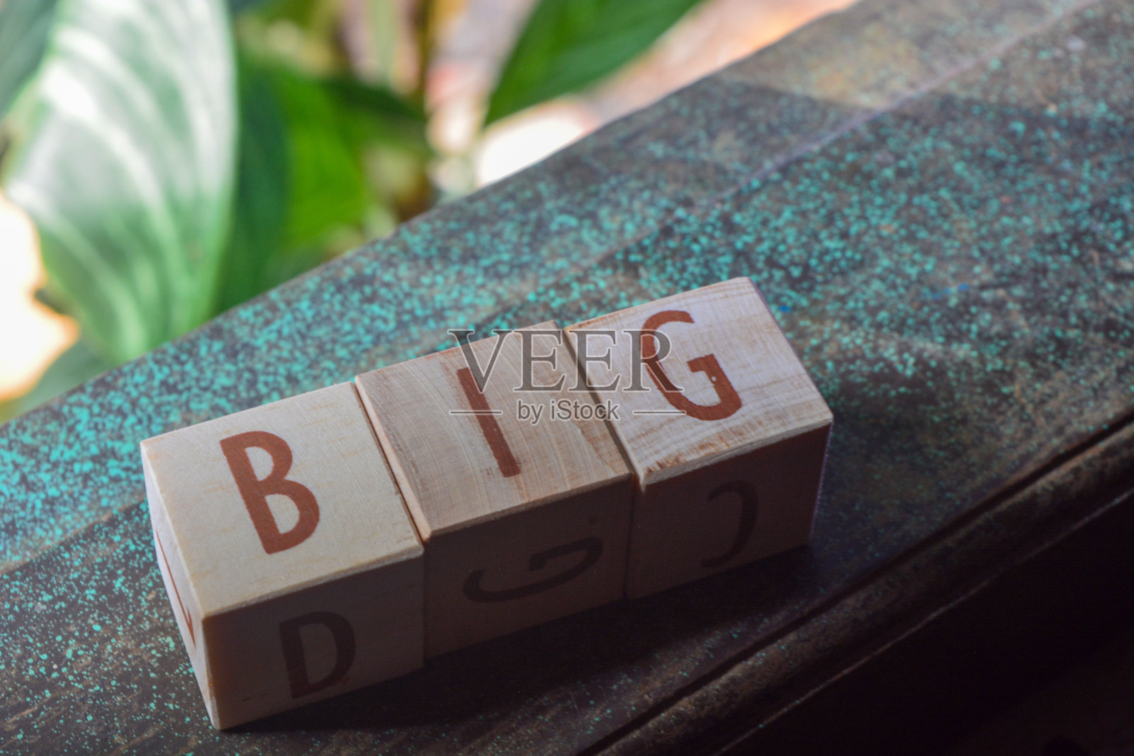 英语中的句子用媒体大木箱排列成一个单词照片摄影图片