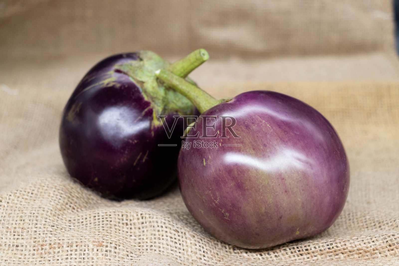 在背景上分离的茄子或茄子照片摄影图片