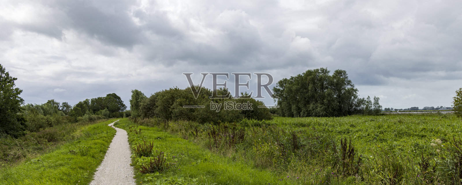 沿湖自行车道照片摄影图片