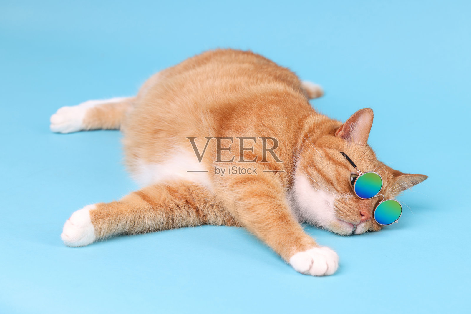 可爱的姜黄色猫戴着时髦的太阳镜躺在浅蓝色的背景上照片摄影图片