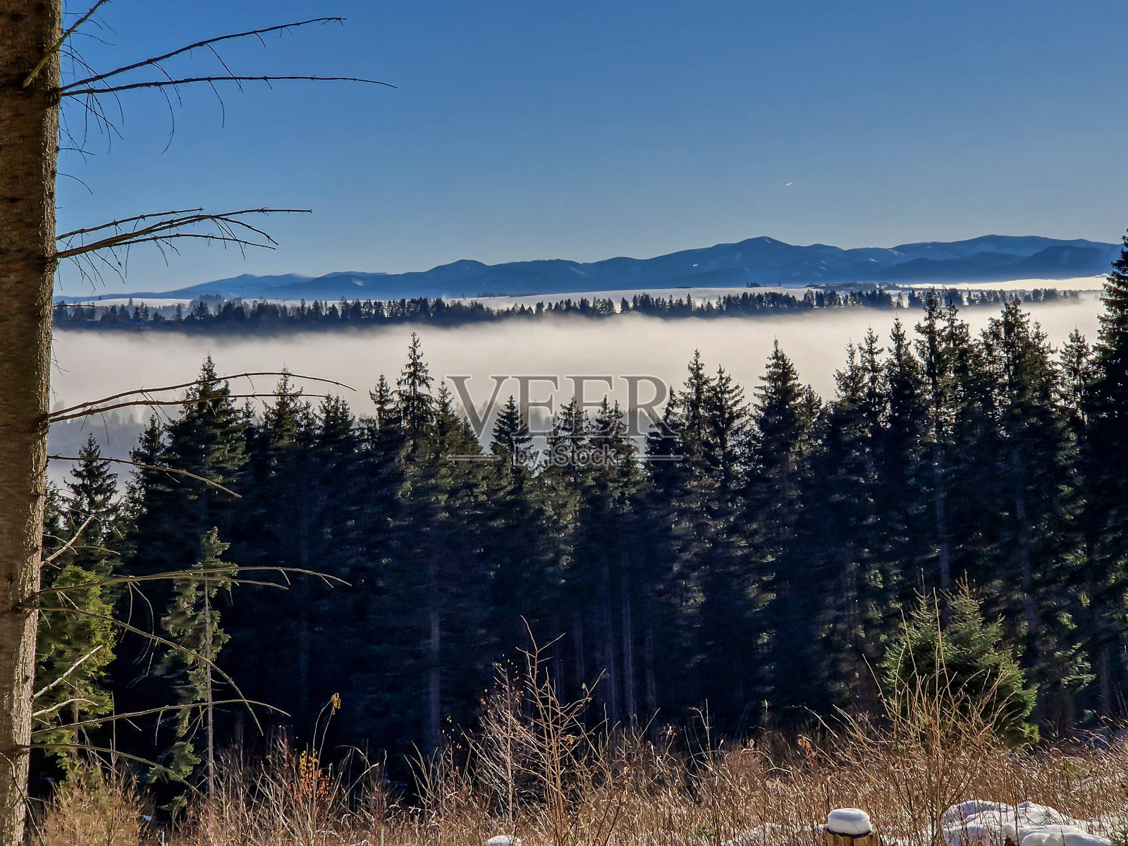 冬天,斯洛伐克的塔特拉山脉皑皑白雪。照片摄影图片