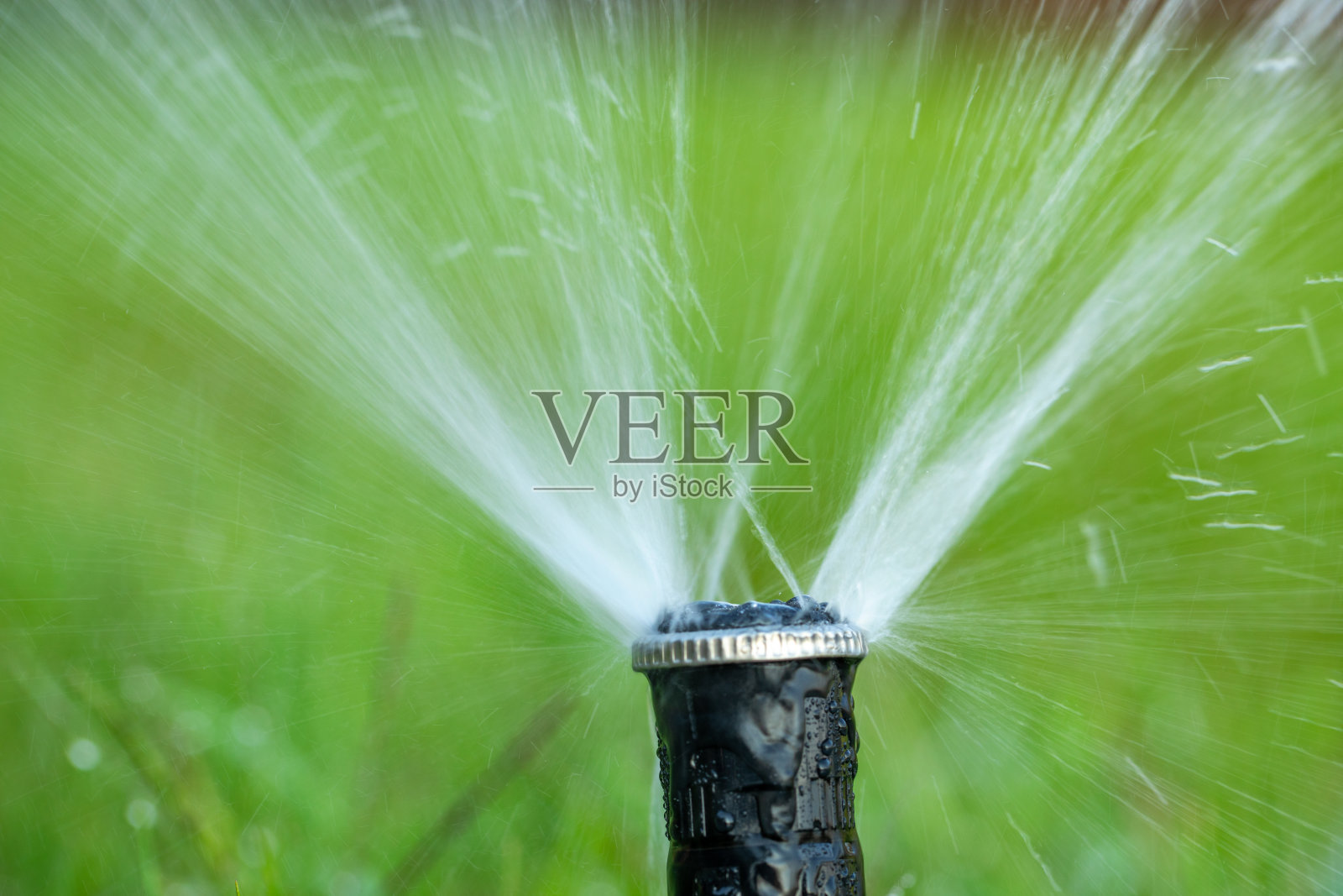 清新的绿色:自动草坪洒水器的魔力照片摄影图片