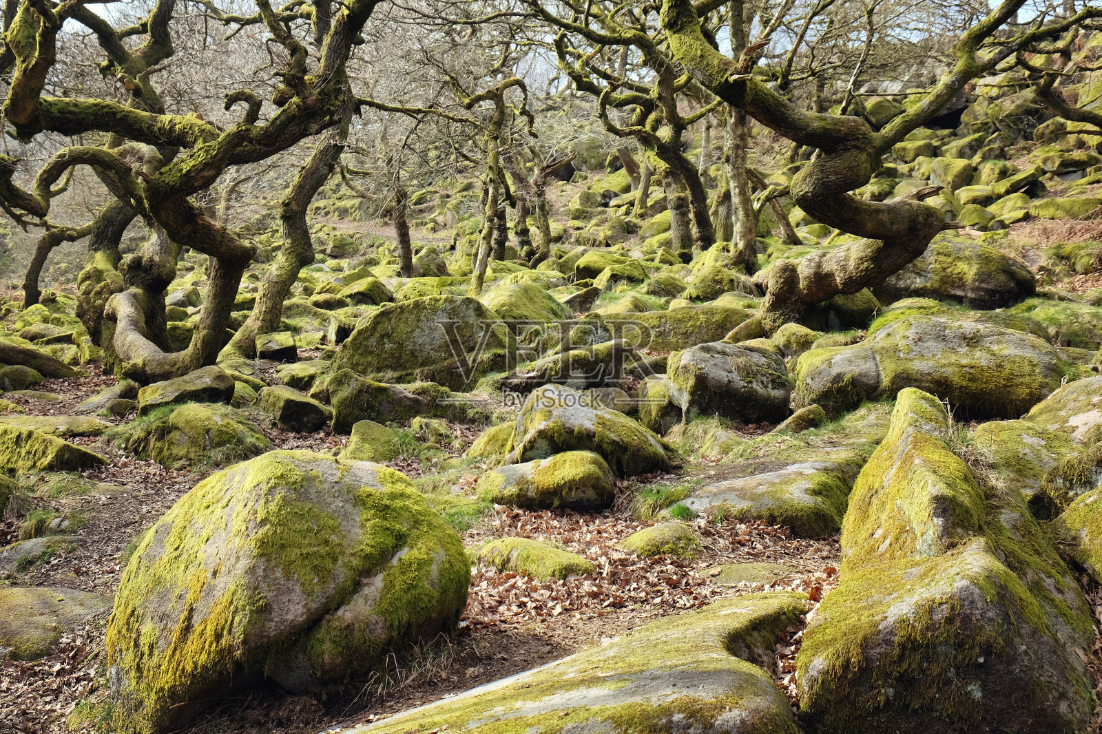 英国德比郡皮克区的洛基帕德利峡谷照片摄影图片