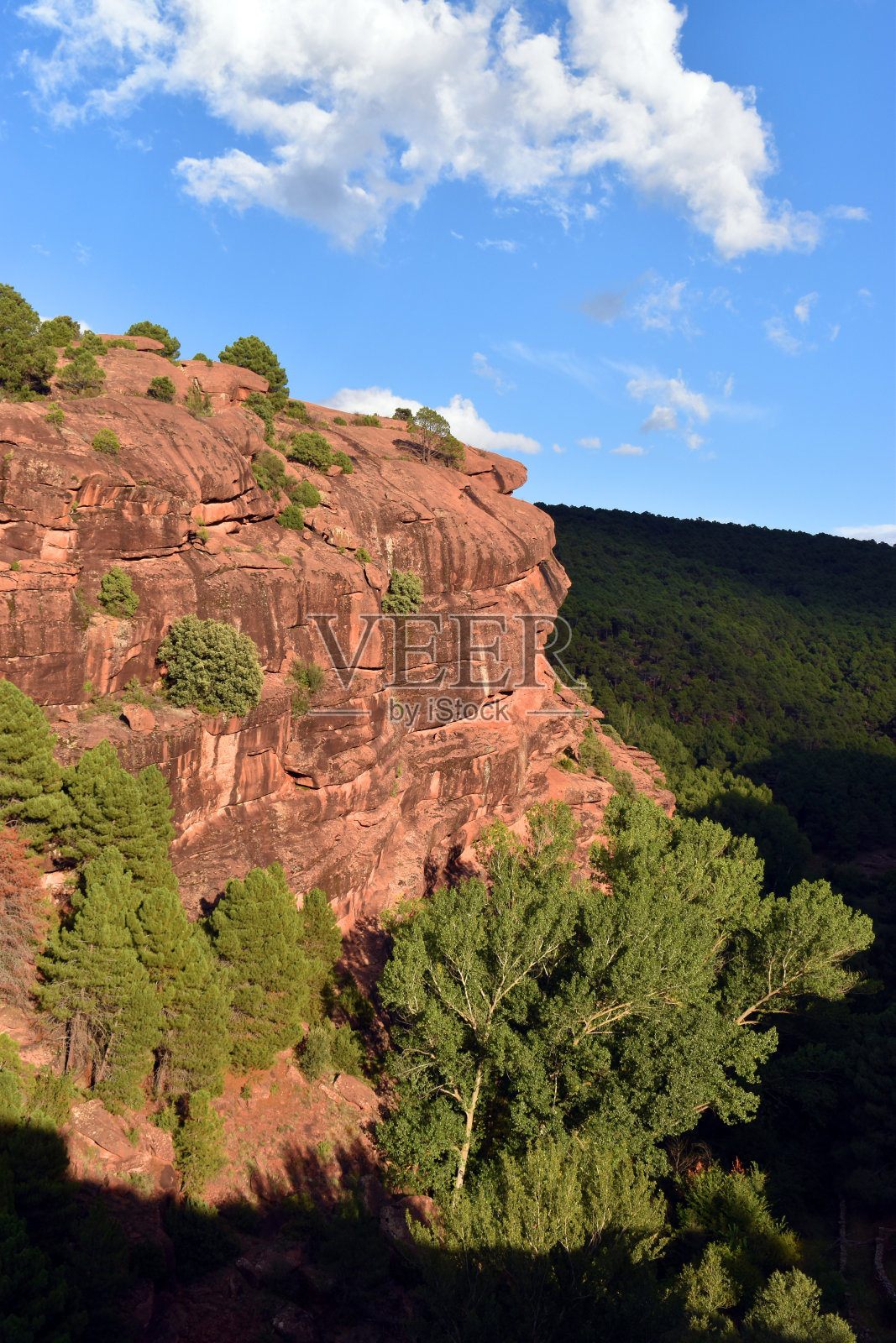 罗迪诺松林的受保护景观。Sierra de Albarr照片摄影图片