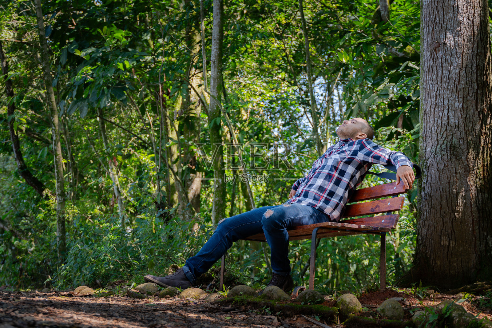 一个秃顶的男人在森林里的长凳上休息照片摄影图片