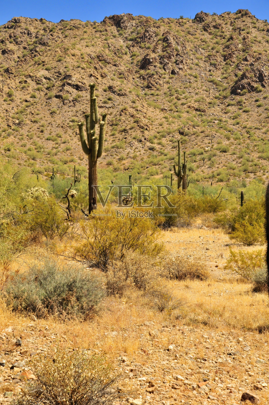 三谭山脉索诺拉沙漠亚利桑那州照片摄影图片