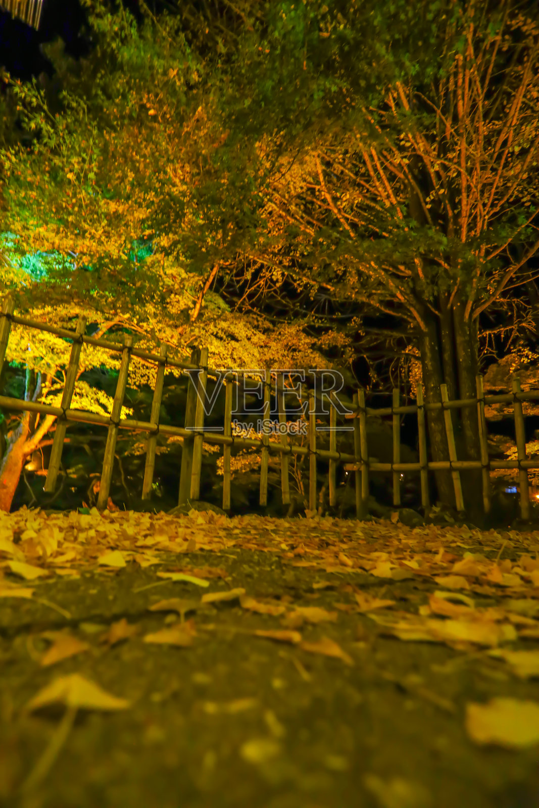 秋天的树叶照亮了科兰凯。照片摄影图片