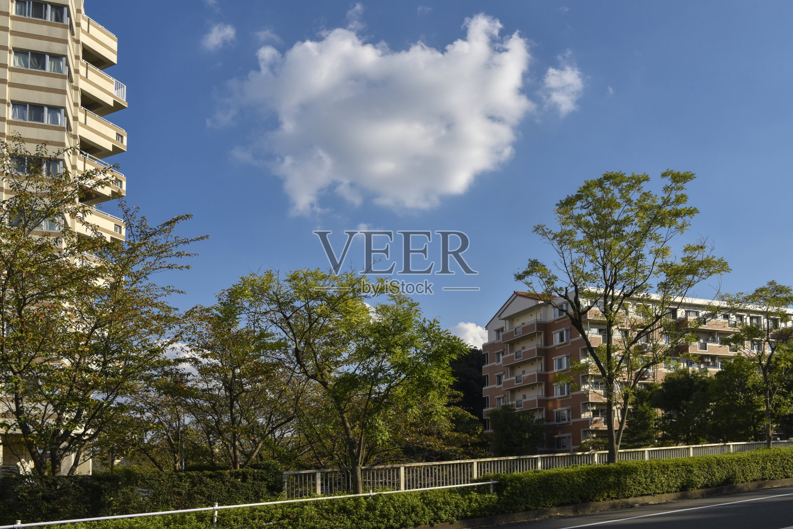 在一个阳光明媚的日子里,一个住宅区的公寓大楼。照片摄影图片