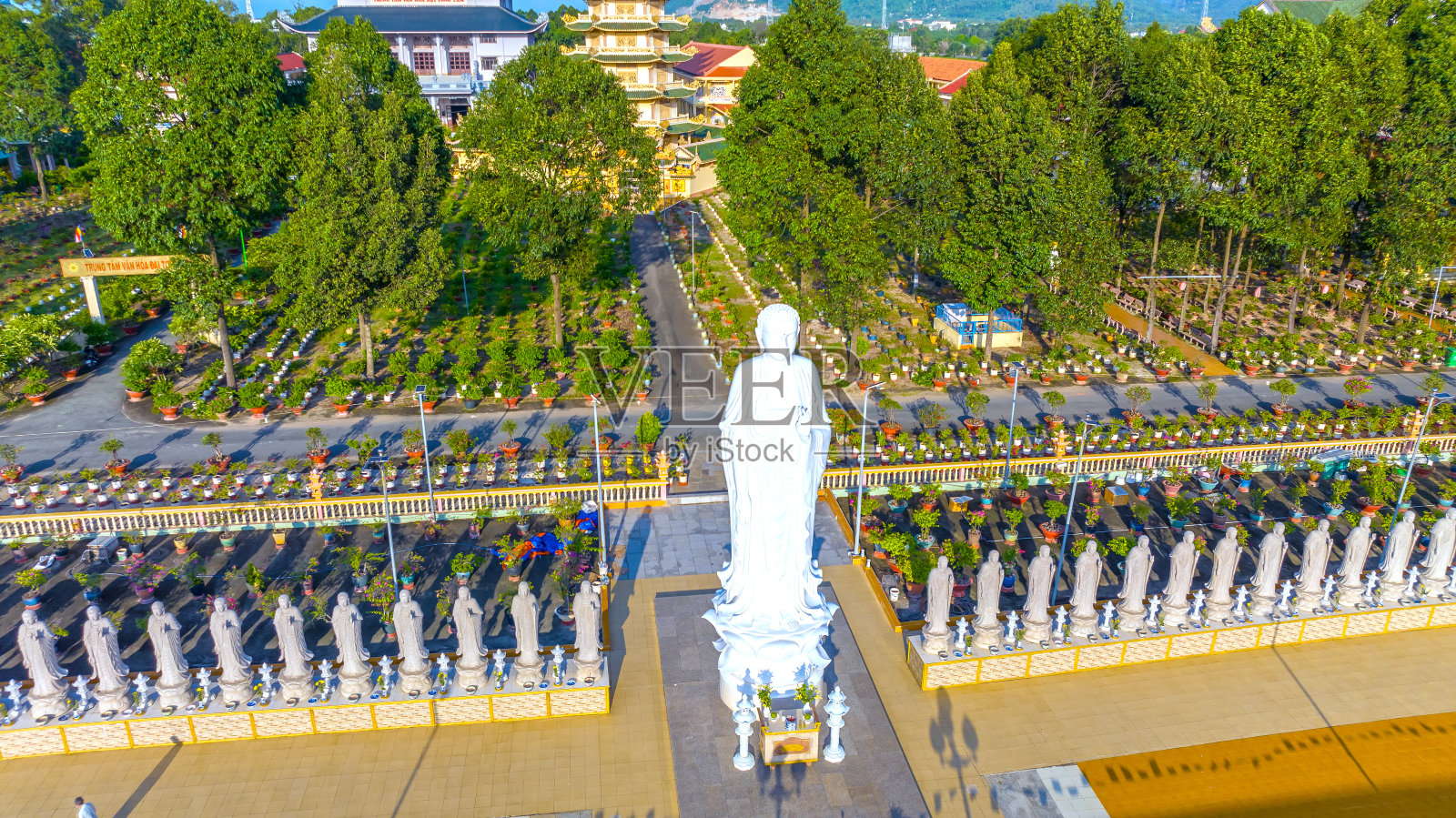 鸟瞰越南巴里翁头的大塘林塔照片摄影图片