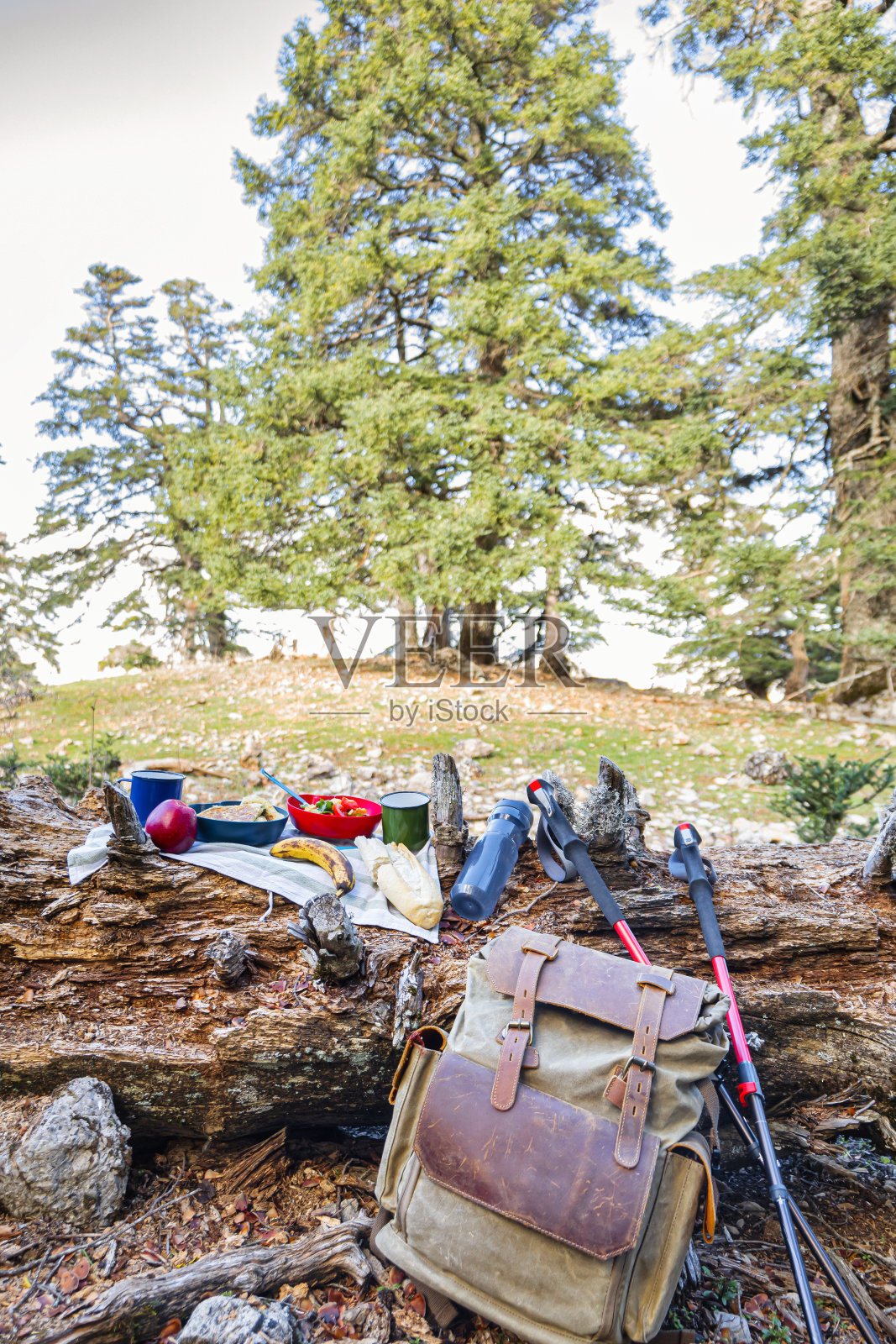 徒步旅行者在一根原木上享受野餐,周围是大自然,背包和登山杖。照片摄影图片
