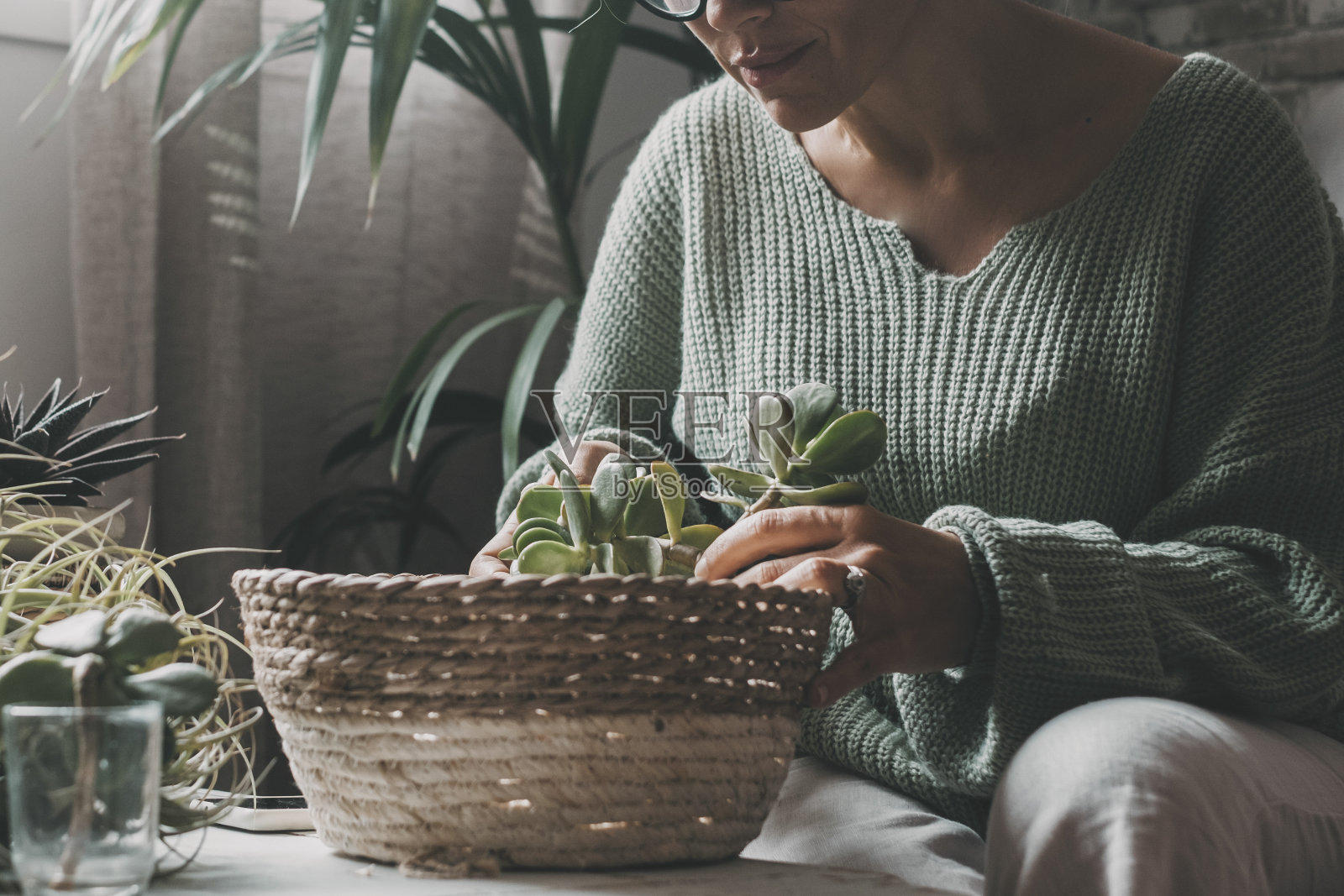 妇女在室内休闲活动中独自在家照顾自然植物和做园艺。女人们重新种植绿色牧场。园艺家。绿色自然生活方式的人。室内。自然照片摄影图片