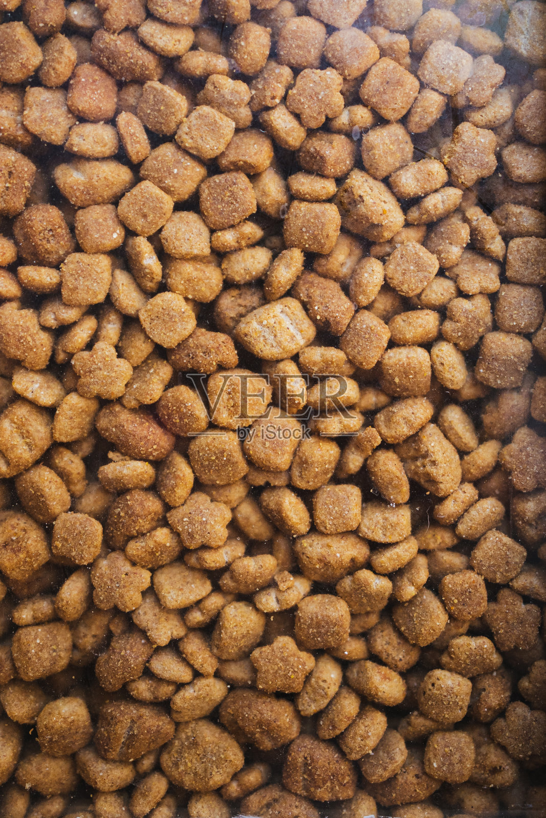 智利一家宠物店户外展示的狗粮特写照片摄影图片