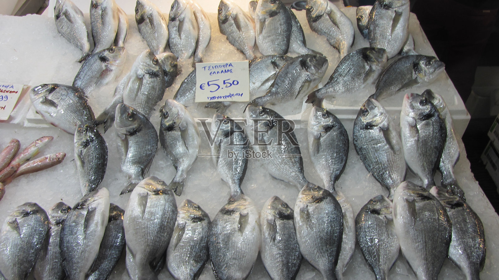 pescado照片摄影图片