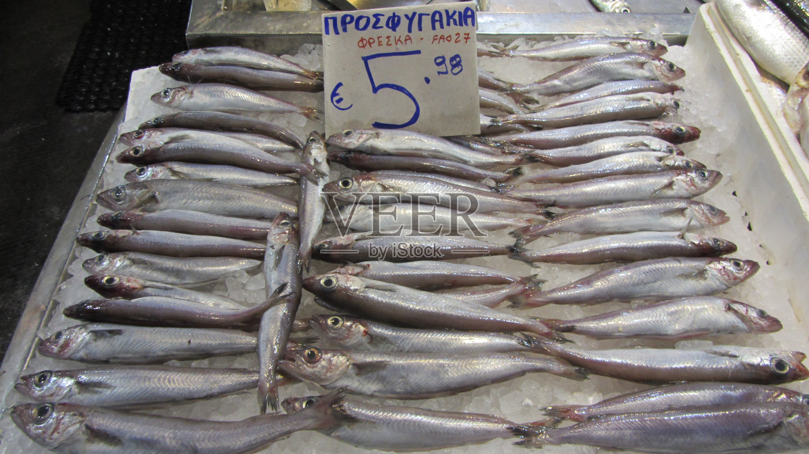 pescado照片摄影图片