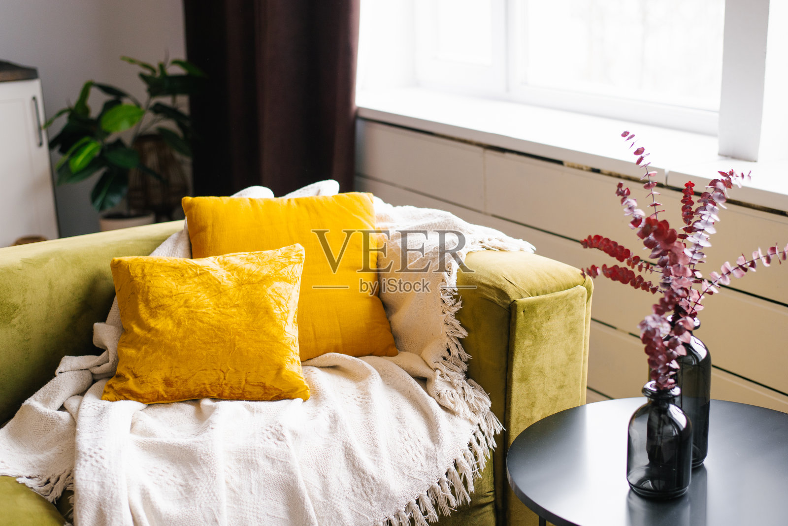 在明亮的房间里,桌子上放着一束红色的桉树树枝照片摄影图片