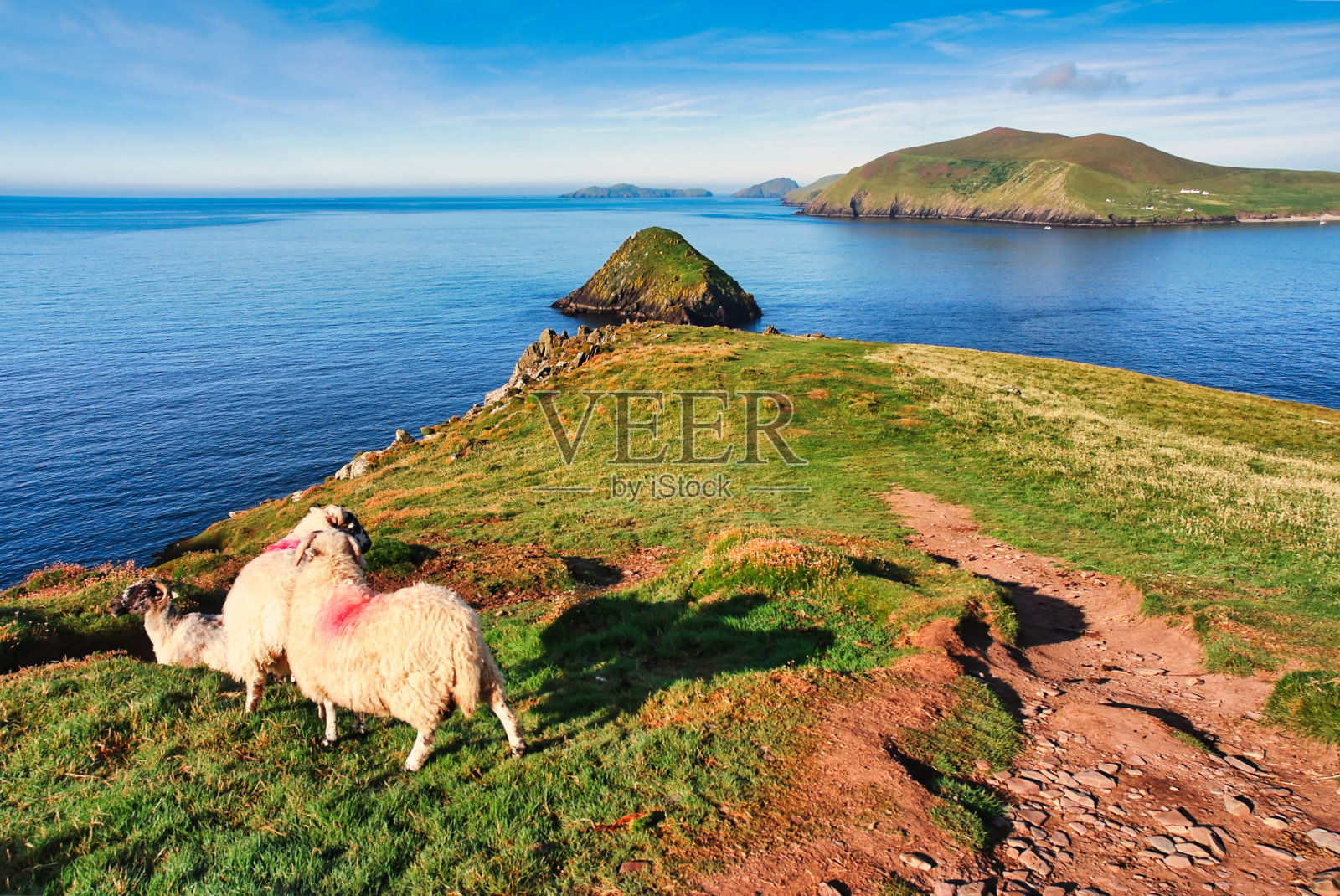 Dunmore Head,爱尔兰照片摄影图片