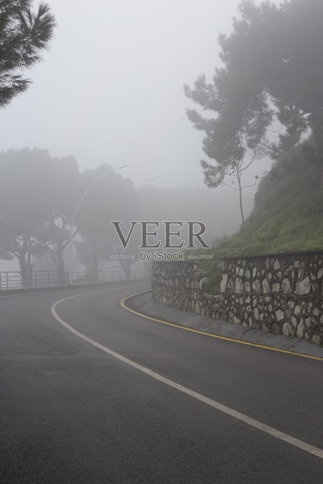 雾蒙蒙的森林里的汽车路照片摄影图片