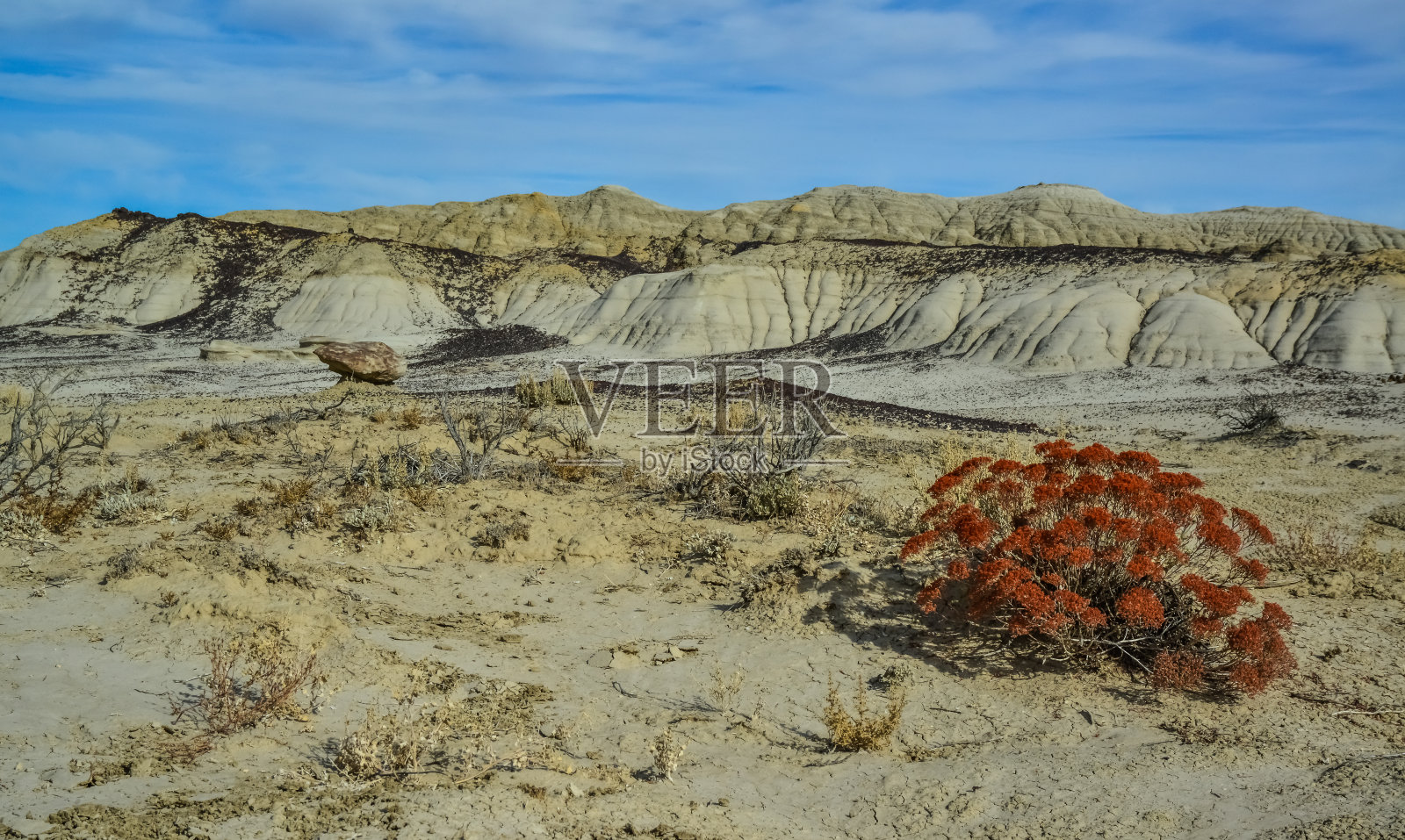 前景中的红色植物。在美国新墨西哥州的阿什斯利帕荒野研究区,由于侵蚀而形成的奇怪砂岩岩层照片摄影图片