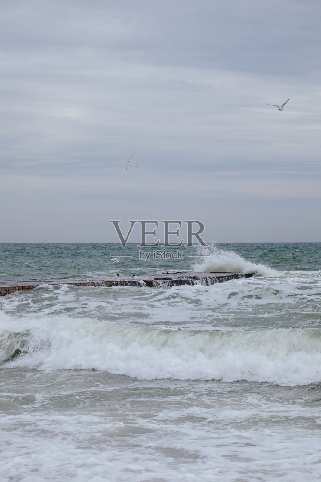 海照片摄影图片