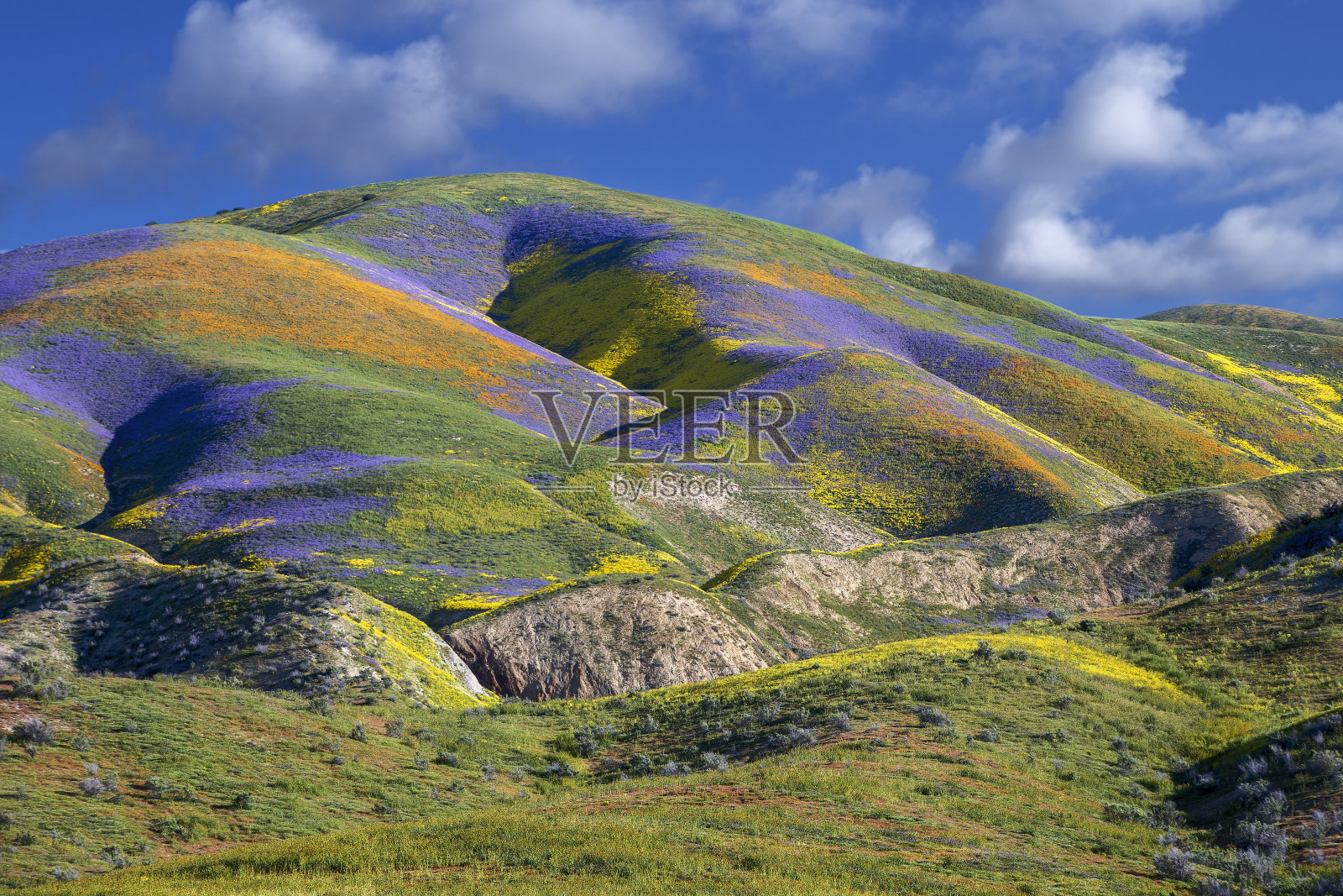 卡里佐平原国家纪念碑:五彩缤纷的早晨照片摄影图片