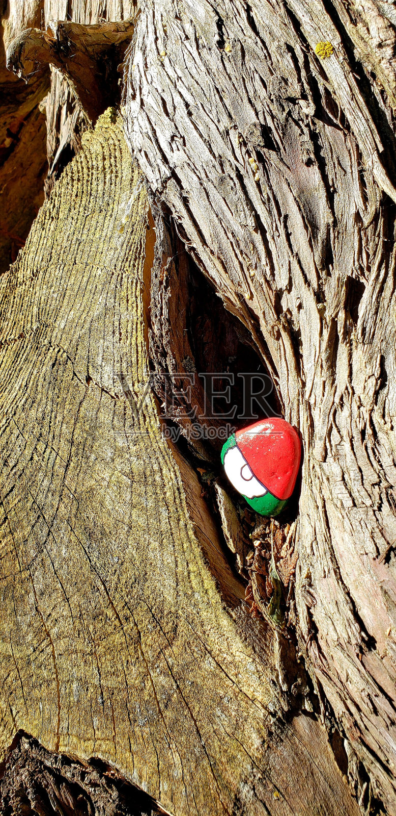 威斯康星州门县照片摄影图片