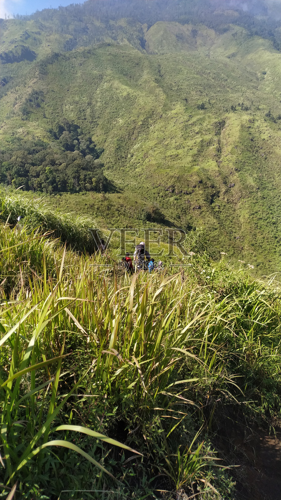 威朗-阿尔朱诺山脉的山坡景色。看起来像杂草和登山者的帐篷。晴空万里,万里无云。照片摄影图片