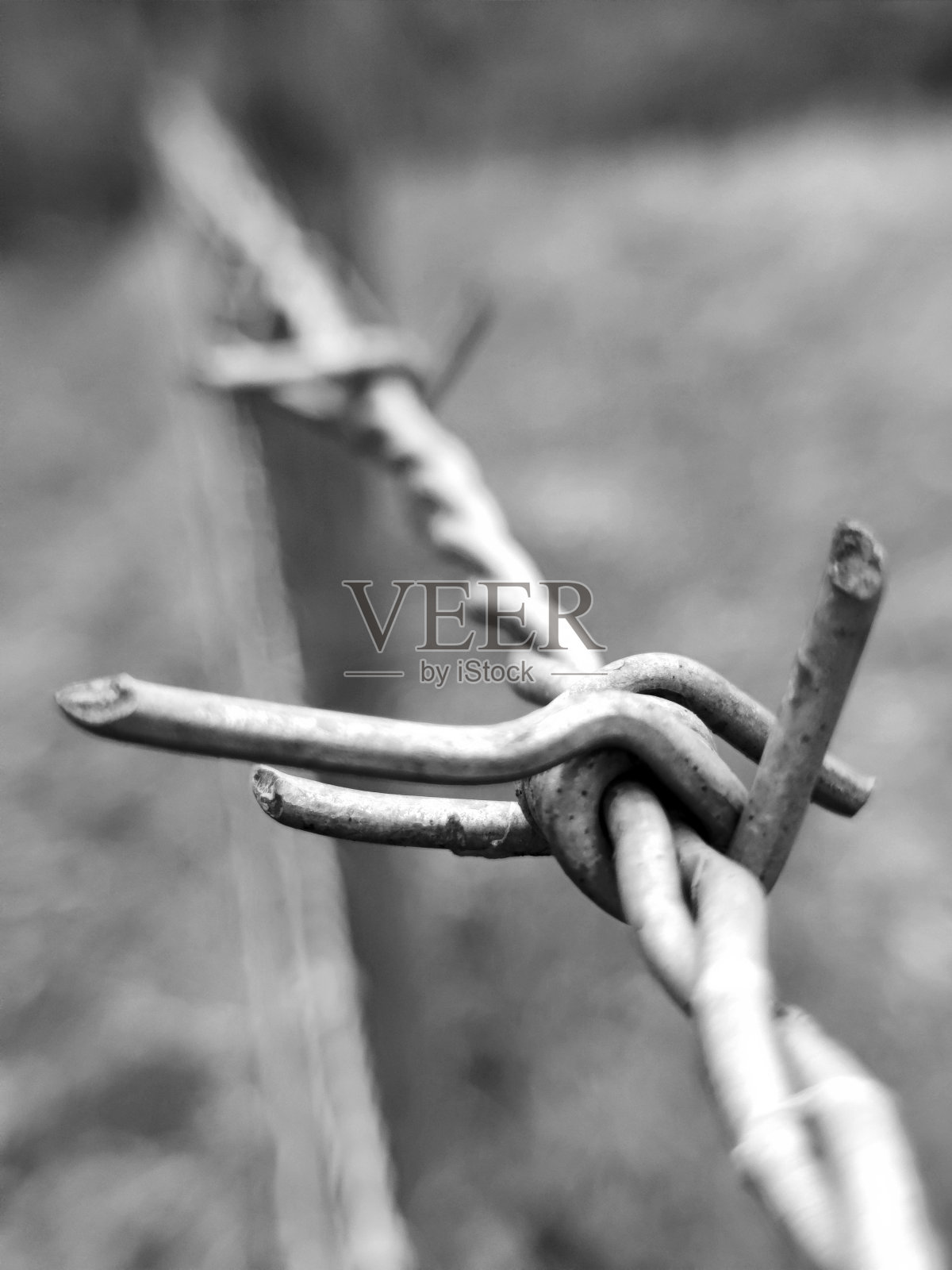 黑色和白色的铁丝网特写照片摄影图片