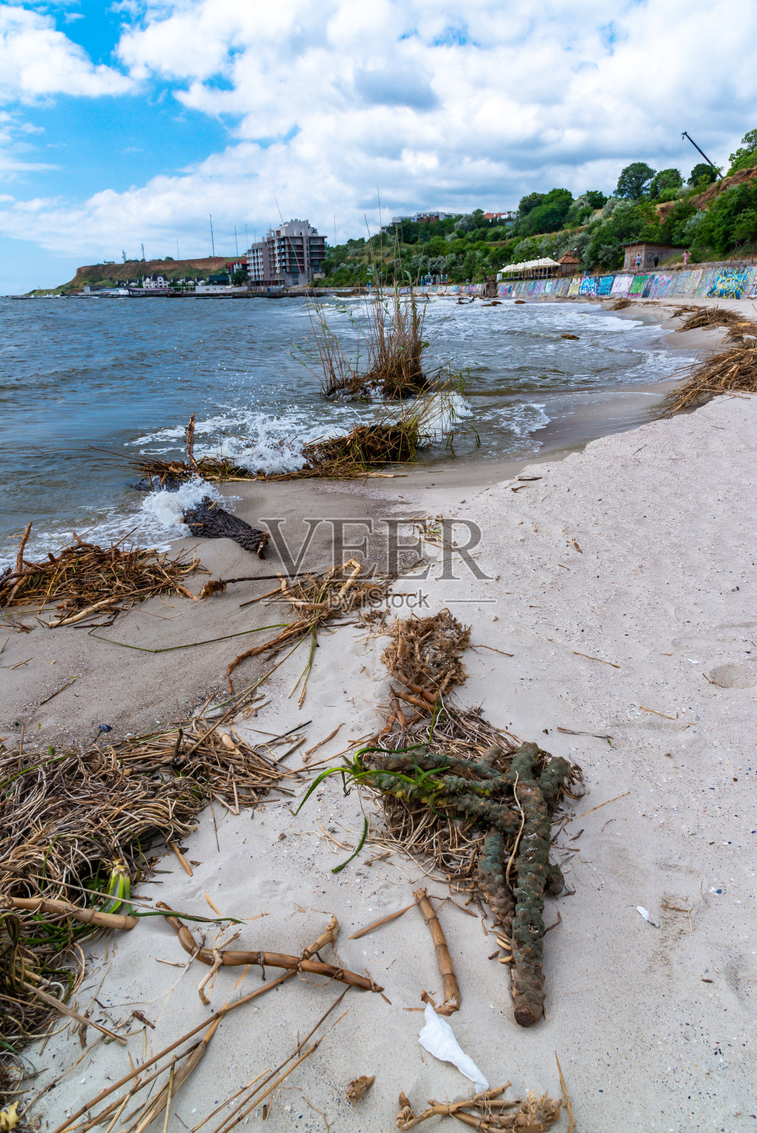 卡霍夫卡电厂溃坝的后果是,水流将垃圾、漂浮的芦苇岛和河流植物带到了敖德萨的海滩上照片摄影图片