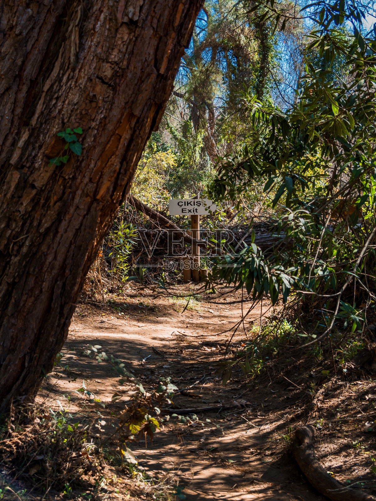 公园里用土耳其语写着“出口”的牌子照片摄影图片