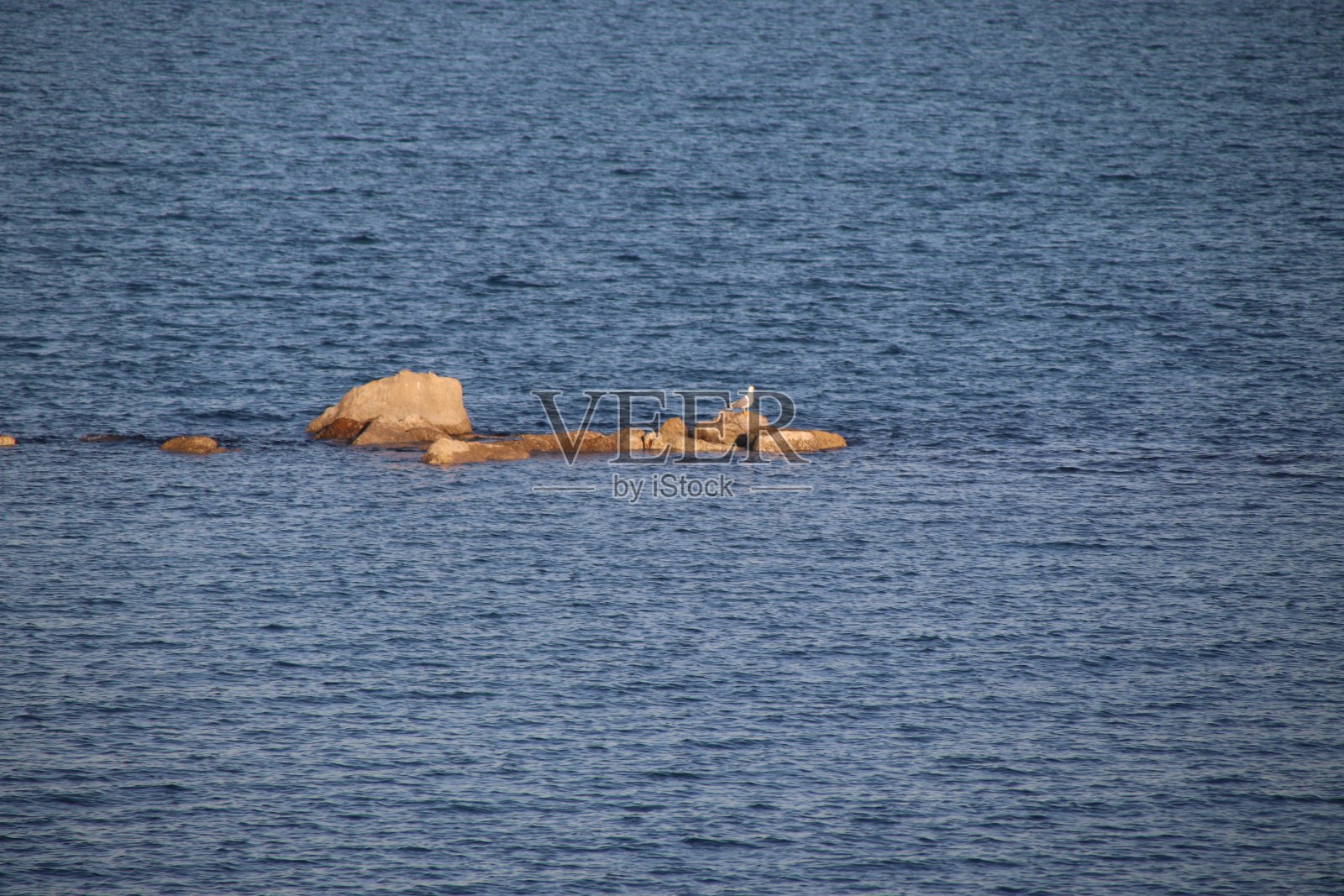Trani照片摄影图片