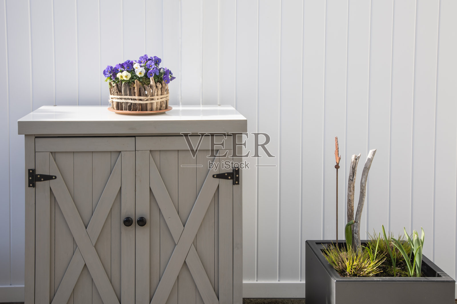 在一个小橱柜旁边的一个时髦的花盆里,摆放着家紫罗兰(viola comuta),在灰色隔板前有一个早期的草照片摄影图片