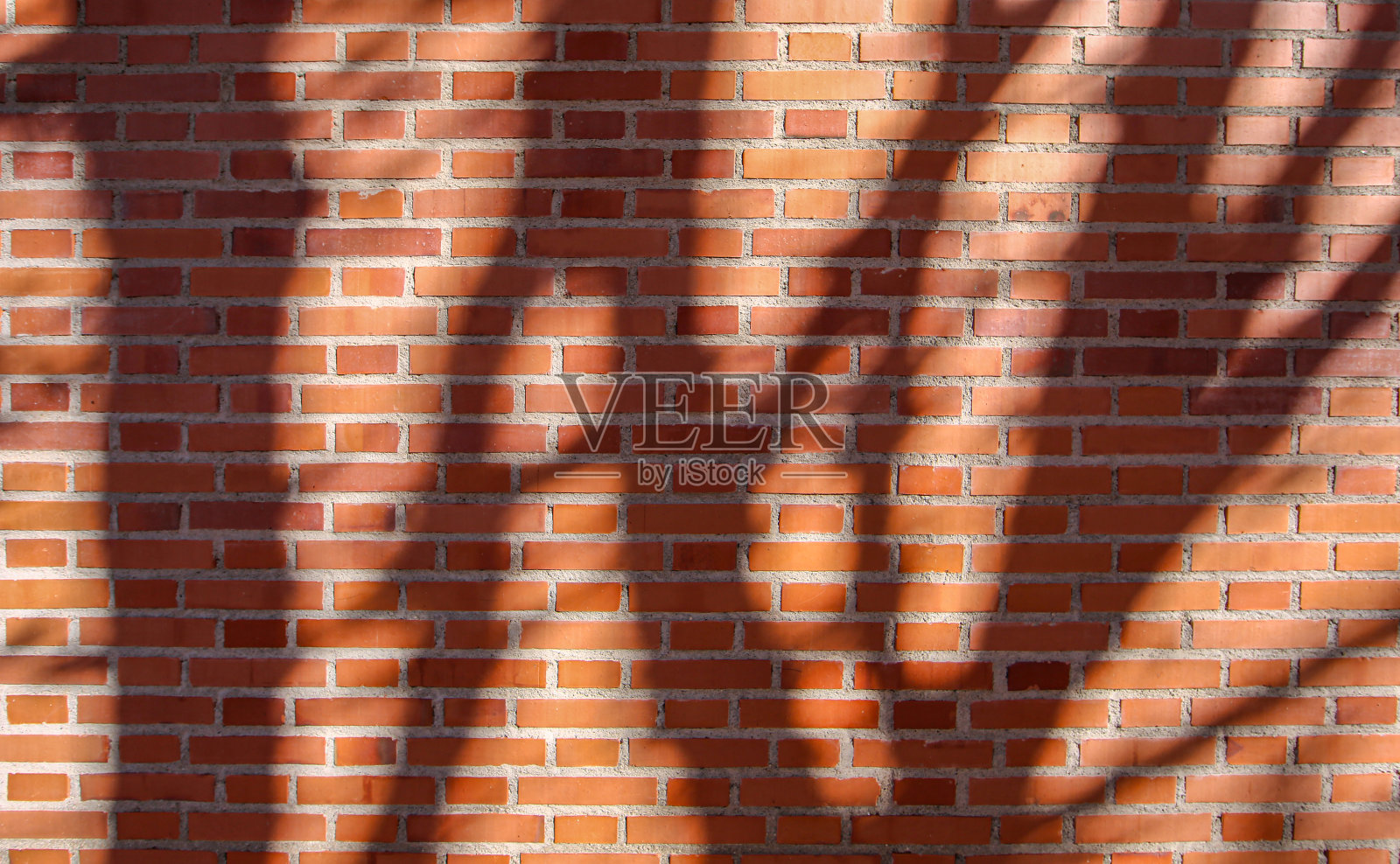 粘土砖材质纹理带有树影照片摄影图片