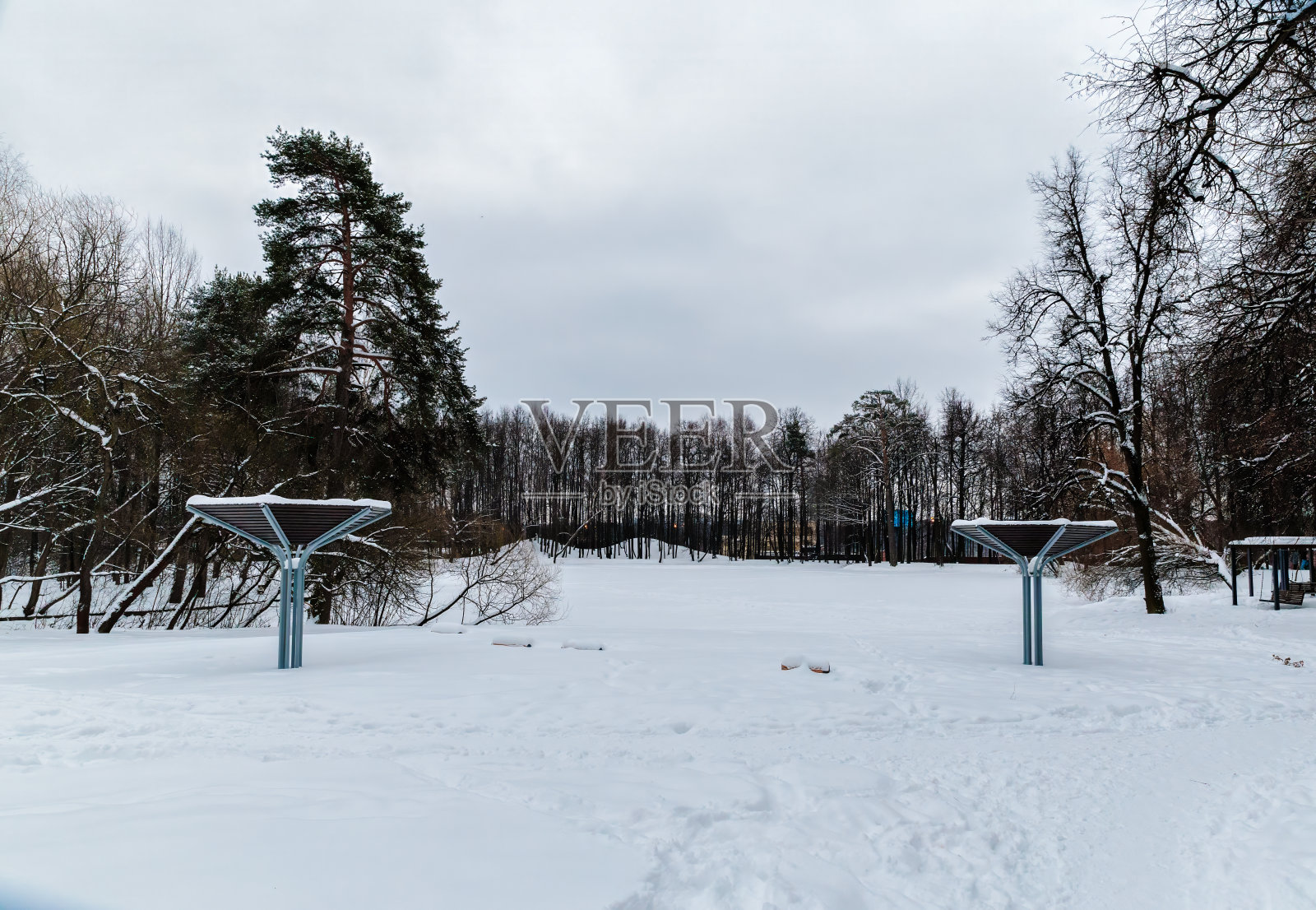 美丽的冬季公园,白雪覆盖的树木和蓝天。照片摄影图片
