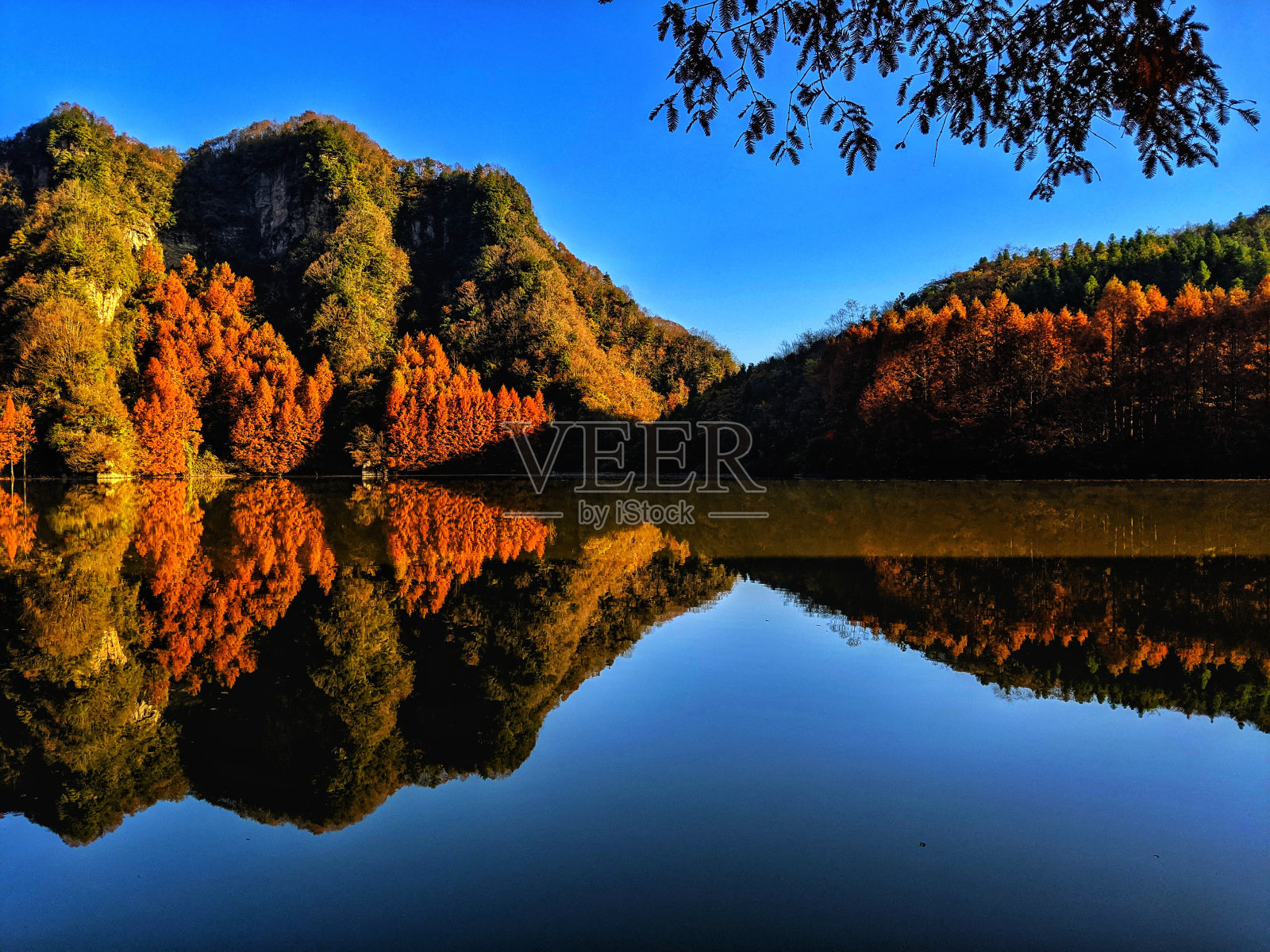 龙池照片摄影图片