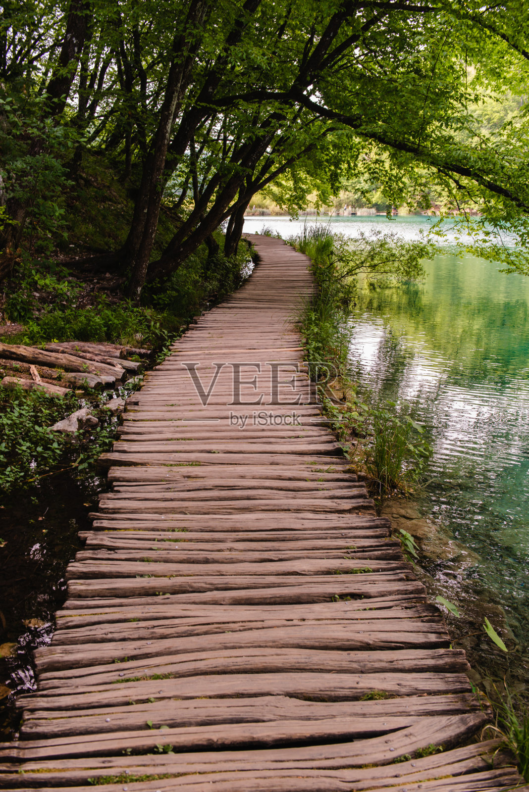 克罗地亚普利特维采湖国家公园的美景照片摄影图片