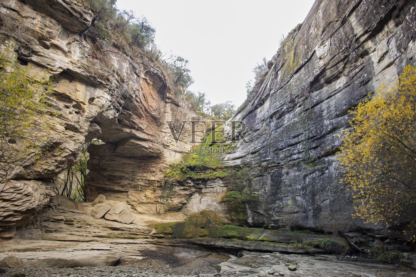 的Foralada照片摄影图片